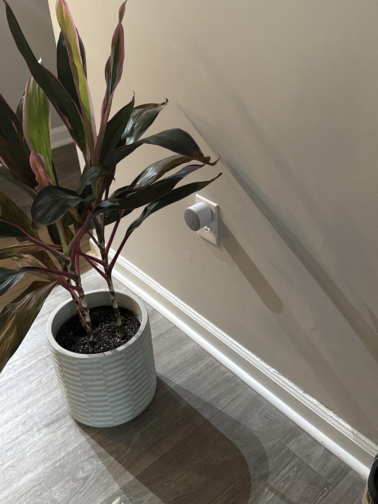 Ubiquiti Protect Chime customer photo 2