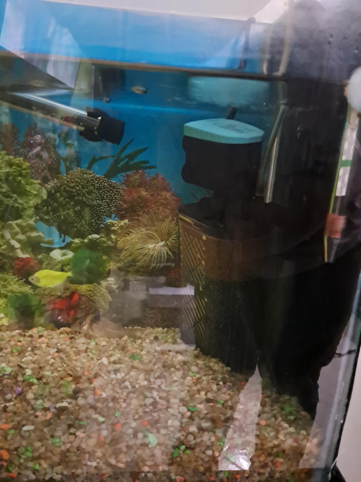AquaMiracle Aquarium Filter 3-Stage in-Tank Filter Internal Fish Tank Filter Turtle Filter for 10-40 Gallon Fish Tanks with Dual Water Outlet & Aeration customer photo 1