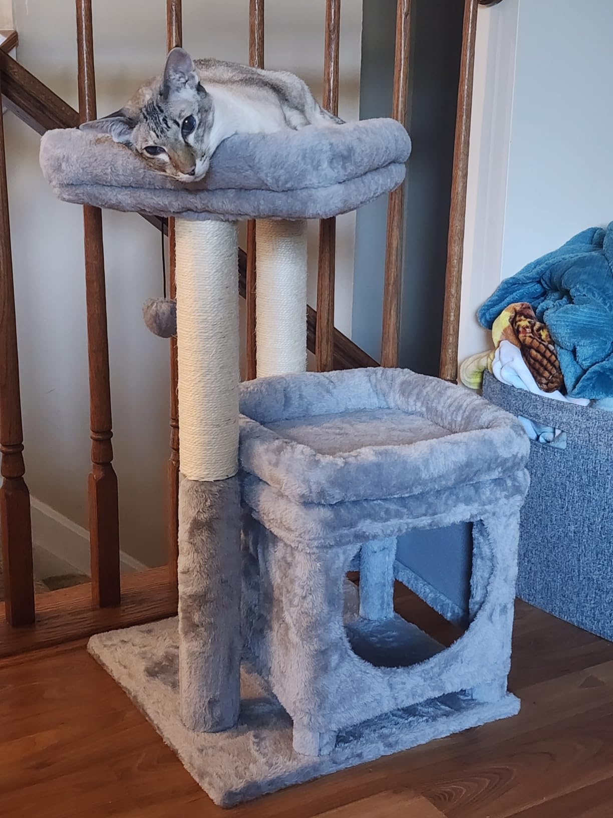 PEQULTI Small Cat Tree Tower for Indoor Cats, Sisal Post & Cozy Condo Beige customer photo 1