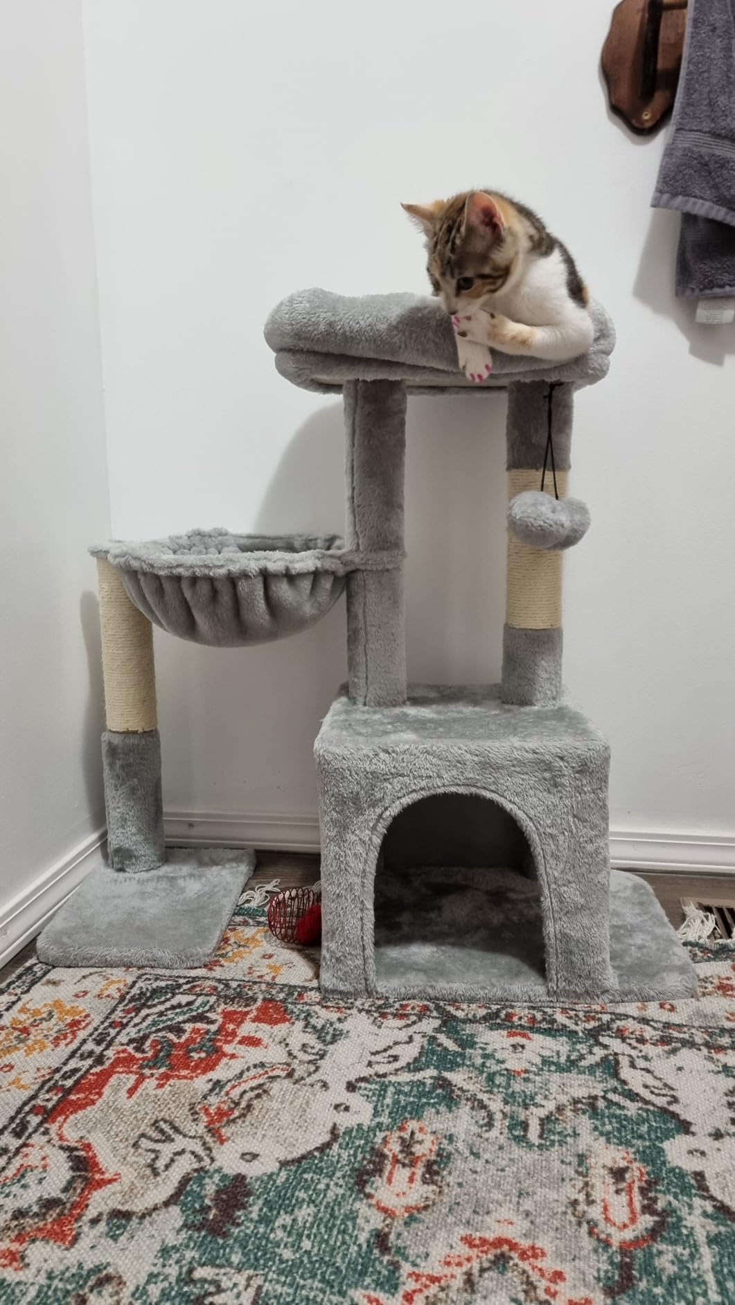 Pesofer Cat Tree, Small Cat Tower with Sisal Scratching Post and Hammock Light Gray customer photo 1