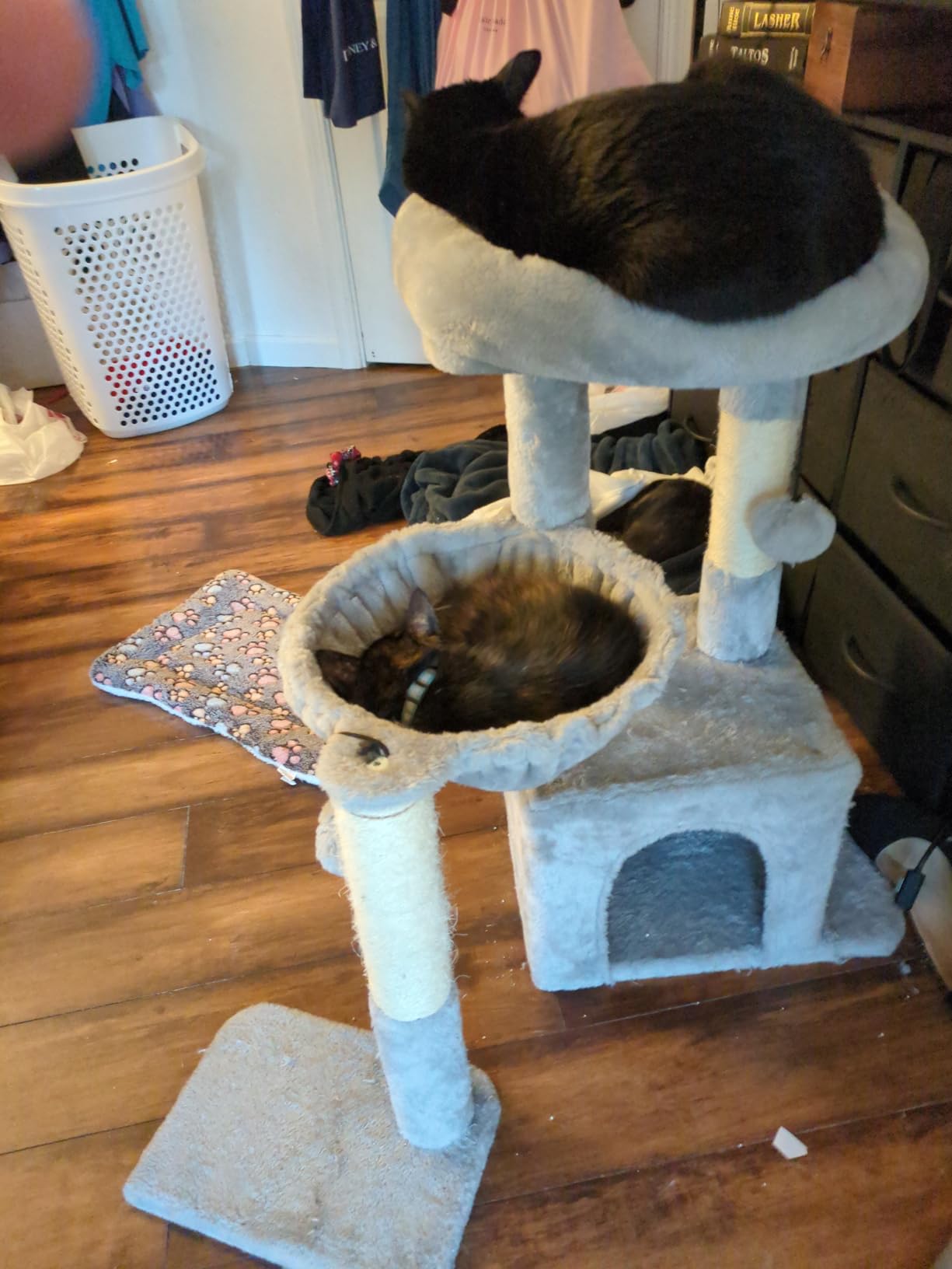 Pesofer Cat Tree, Small Cat Tower with Sisal Scratching Post and Hammock Light Gray customer photo 2