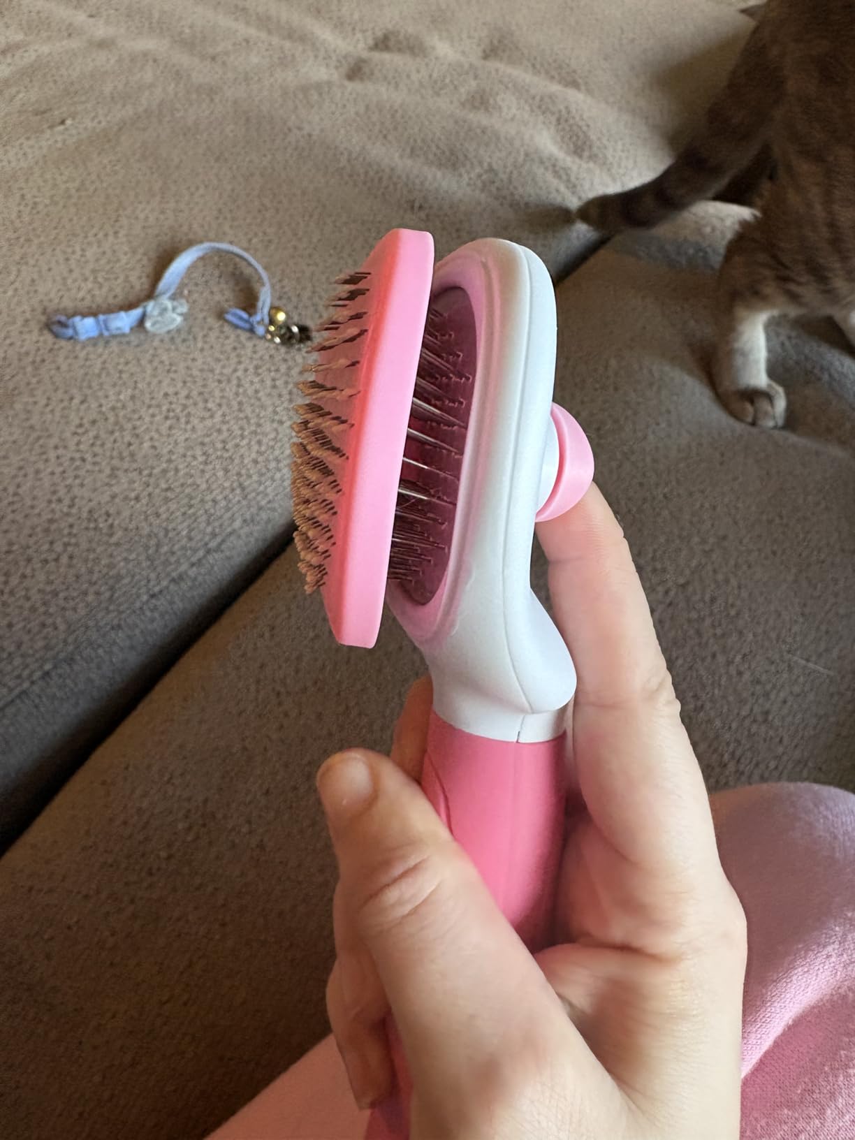 Cat Brushes for Indoor Cats, Dog Brush for Shedding with Metal Cat Comb, Self Cleaning Pet Hair Brush with Release Button for Grooming Kitten(Pink) customer photo 1