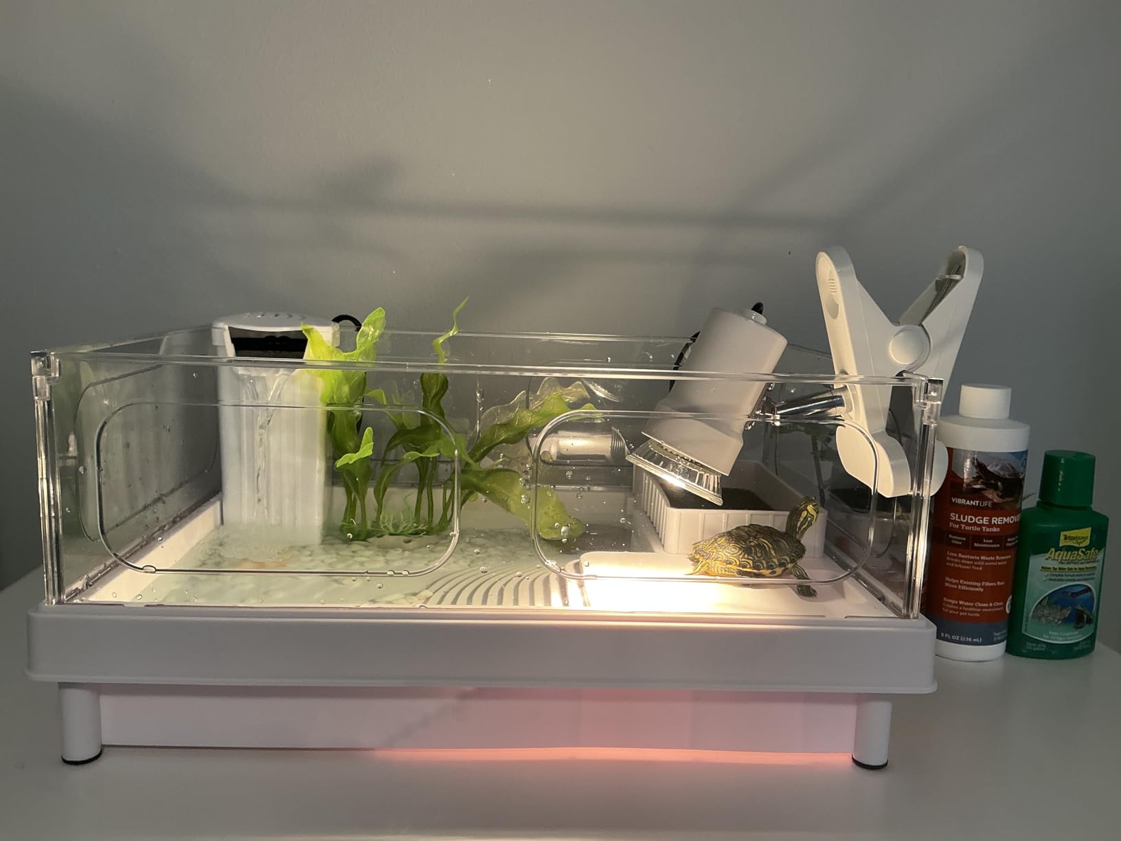 MoonOrange Small Turtle Tank Kit(Tank+Light+Filter), Acrylic Turtle Tank Starter Kit with Bask Platform, Bottom Drain, Multi-Function Area for Small Reptiles.(White) customer photo 2