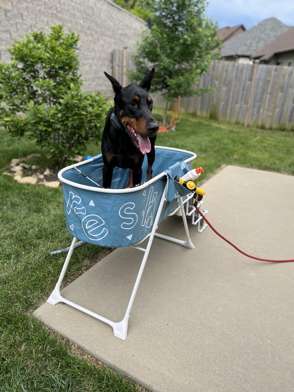Furesh Foldable Dog Washing Station for Large Dogs with Stairs customer photo 1