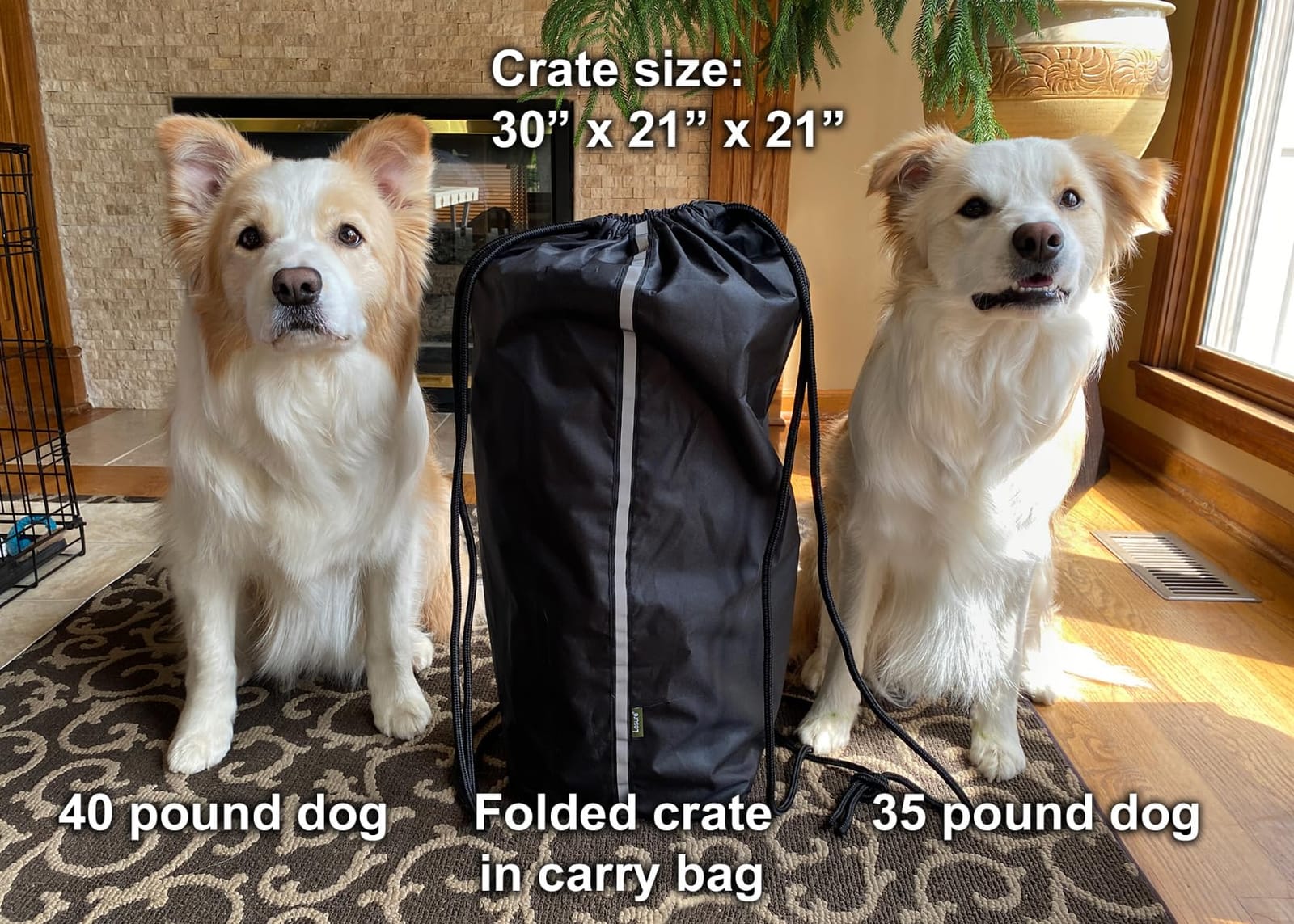 Lesure Shown on Today Show Soft Collapsible XL Dog Crate, 42in Black customer photo 1