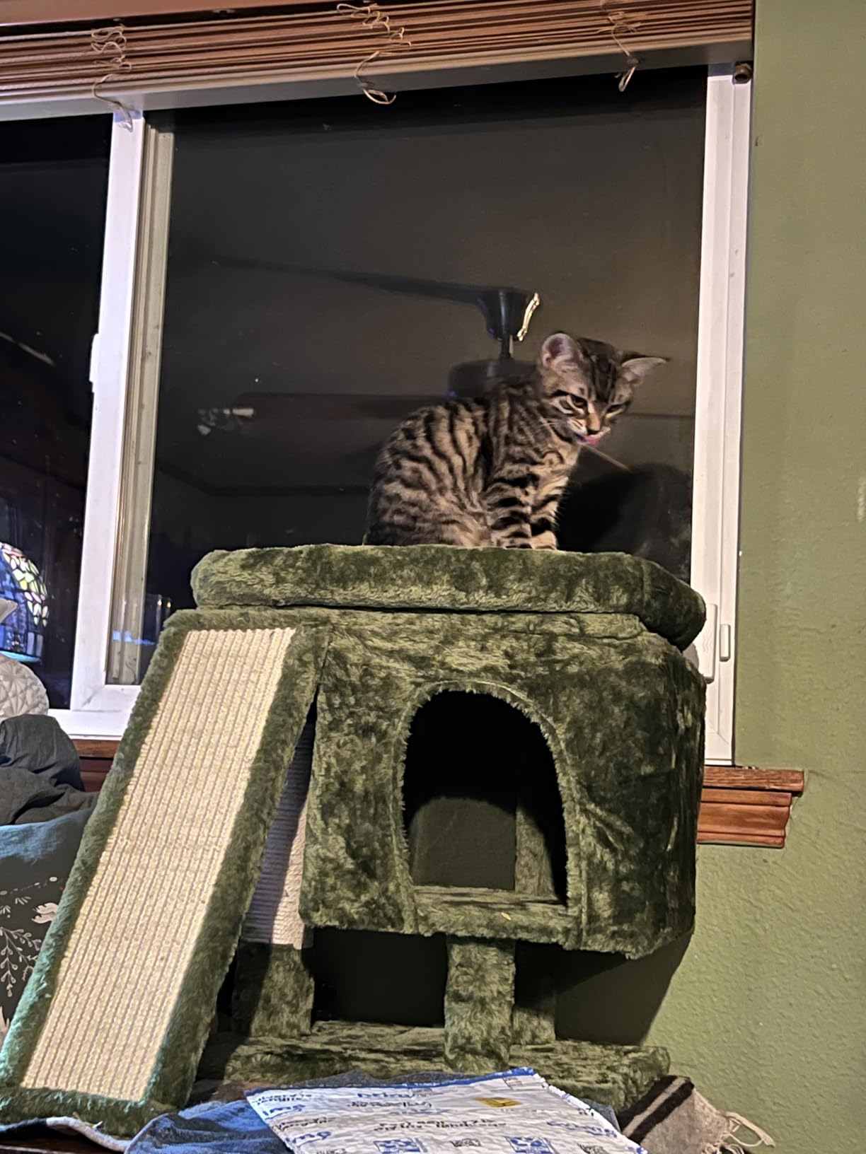 YANDLVY Small Cat Tower for Cats, Cute Cat Tree for Indoor Cats, Kittens Condo with Scratching Post and Board, Cat Cave, Modern Cat Activity House with Plush Perch (Green) customer photo 1