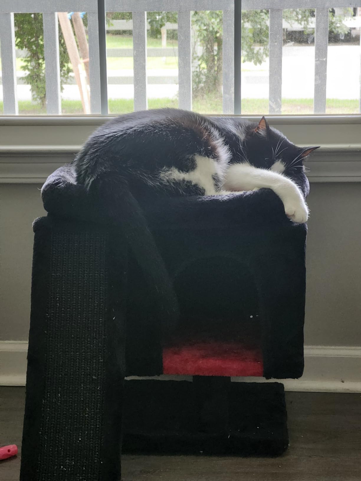 YANDLVY Small Cat Tower for Cats, Cute Cat Tree for Indoor Cats, Kittens Condo with Scratching Post and Board, Cat Cave, Modern Cat Activity House with Plush Perch (Green) customer photo 2