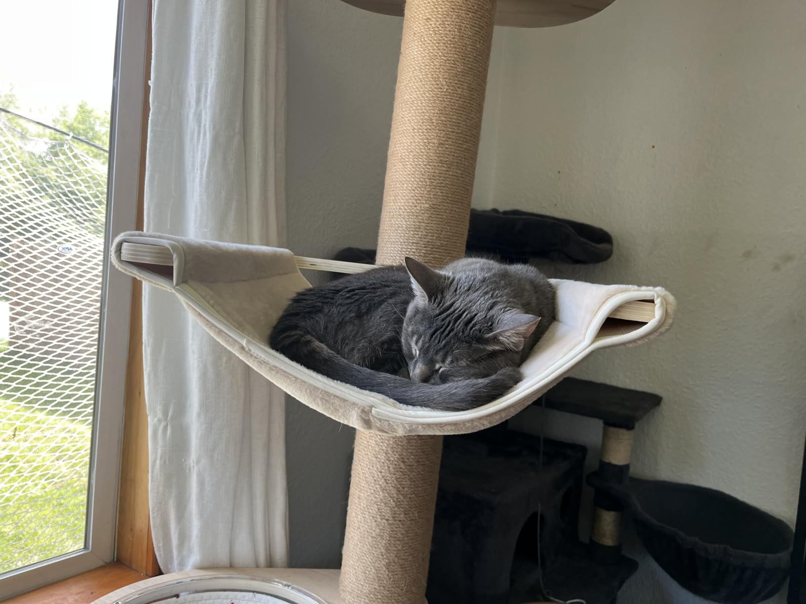 Floor-to-Ceiling Cat Tree with Natural Sisal Rope Scratching Post - Adjustable Height (55-119 Inches) - Modern Cat Activity Tree, Cat Scratcher Post customer photo 2