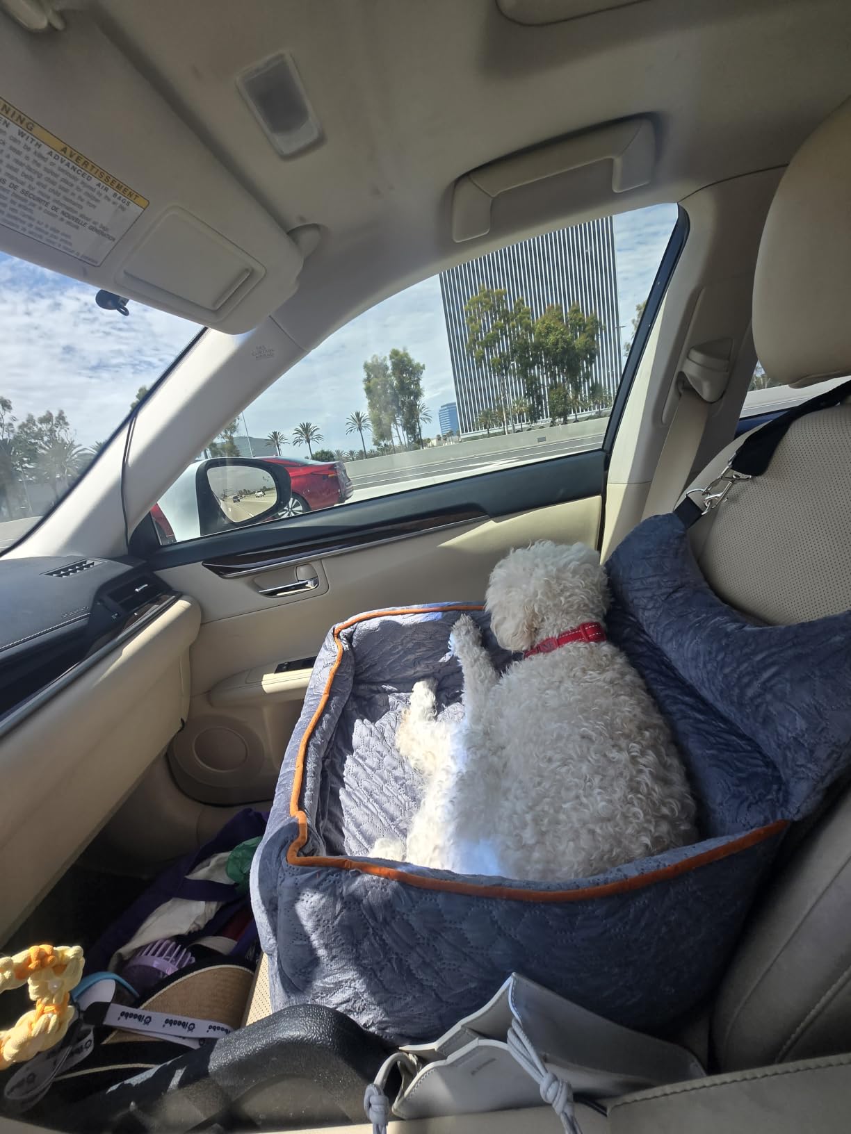 Dog Car Seat for Small Dogs Up to 25 lbs with 6-Inch Memory Foam Cushion customer photo 2