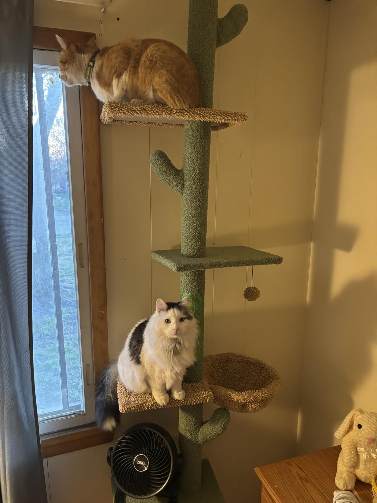 PAWZ Road Cactus Floor-to-Ceiling Cat Tree 5-Tier Cat Tower with Hammock customer photo 2