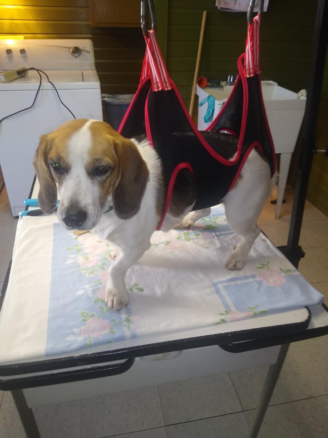 Dog Grooming Arm 35