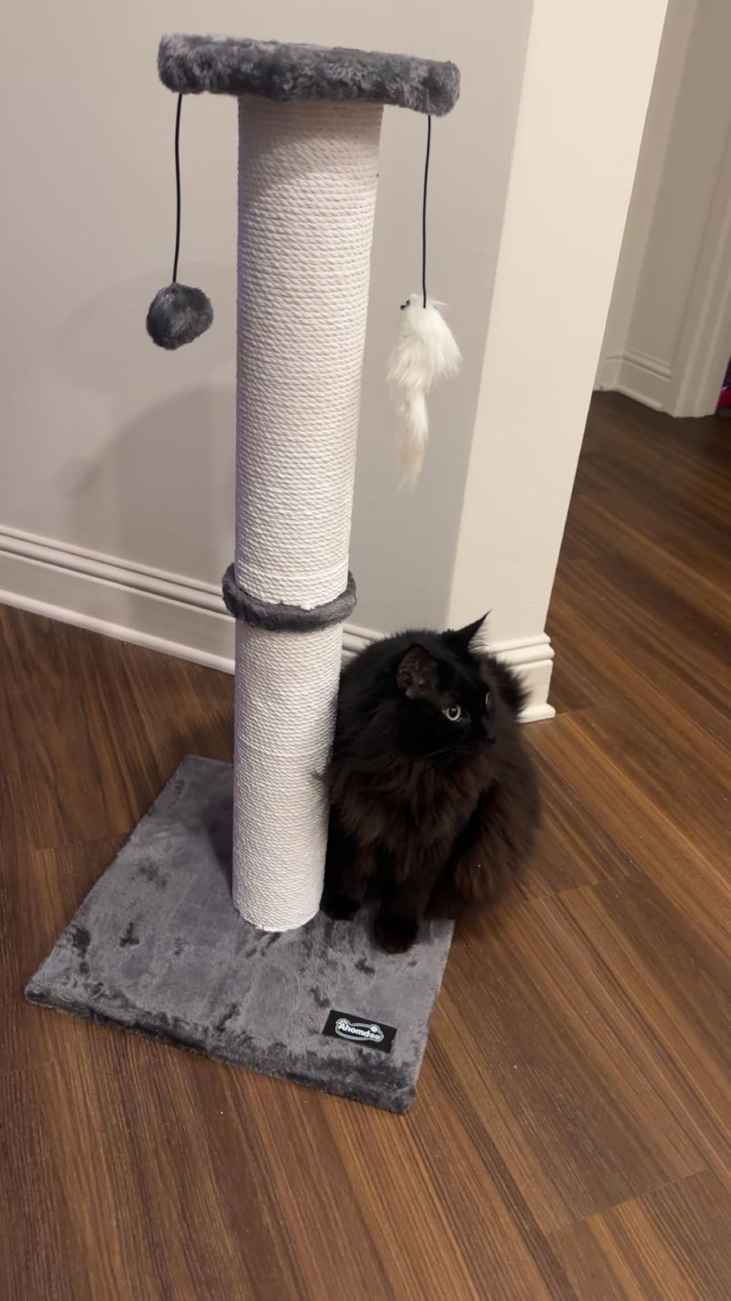 34-Inch Tall Cat Scratching Post for Large Cats, Stable Base, Gray customer photo 1