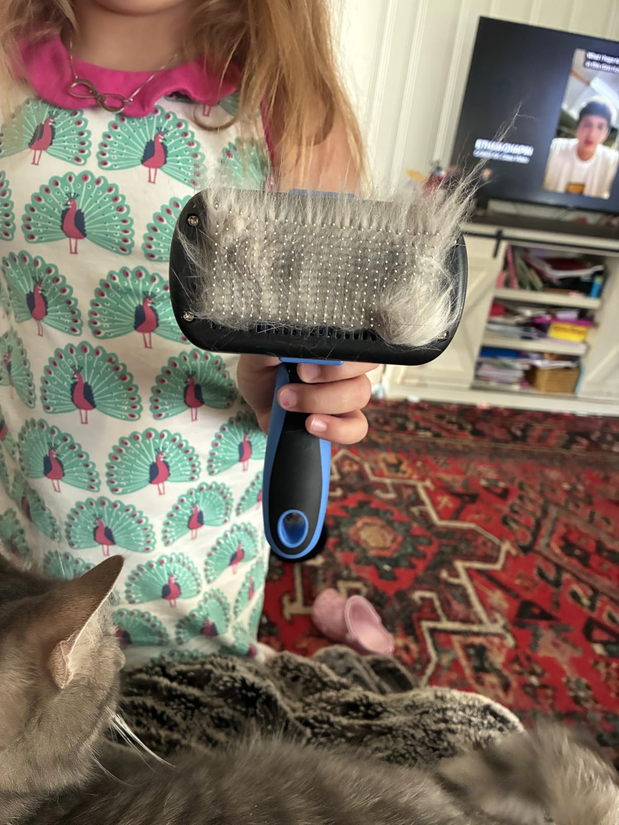 Swihauk Self Cleaning Slicker Brush - Skin Friendly Deshedding Grooming Tool for Dogs & Cats, Suitable for Shedding & Haired Pets, with Pet Supplies Accessories, Blue customer photo 2