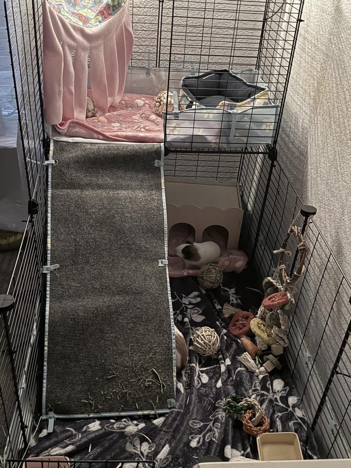 2-Story Guinea Pig Cages with Tarp, Large C&C Loft Cage for Rabbit Bunny Puppy Small Animal Indoor Dog Playpen Pet Exercise Enclosure, 25 Panels customer photo 1