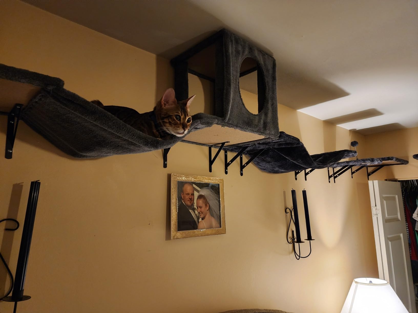 Cat Wall Shelves, Space-Saving Wood Cat Wall Furniture for Indoor Cats customer photo 2