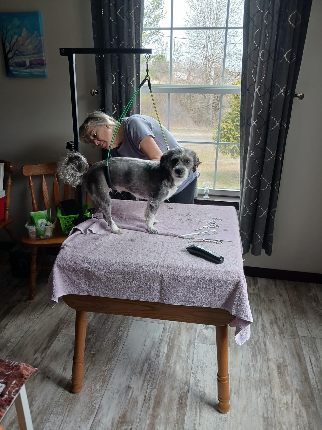 Dog Grooming Table Arm, 35-Inch Adjustable Clamp with Hammock customer photo 1