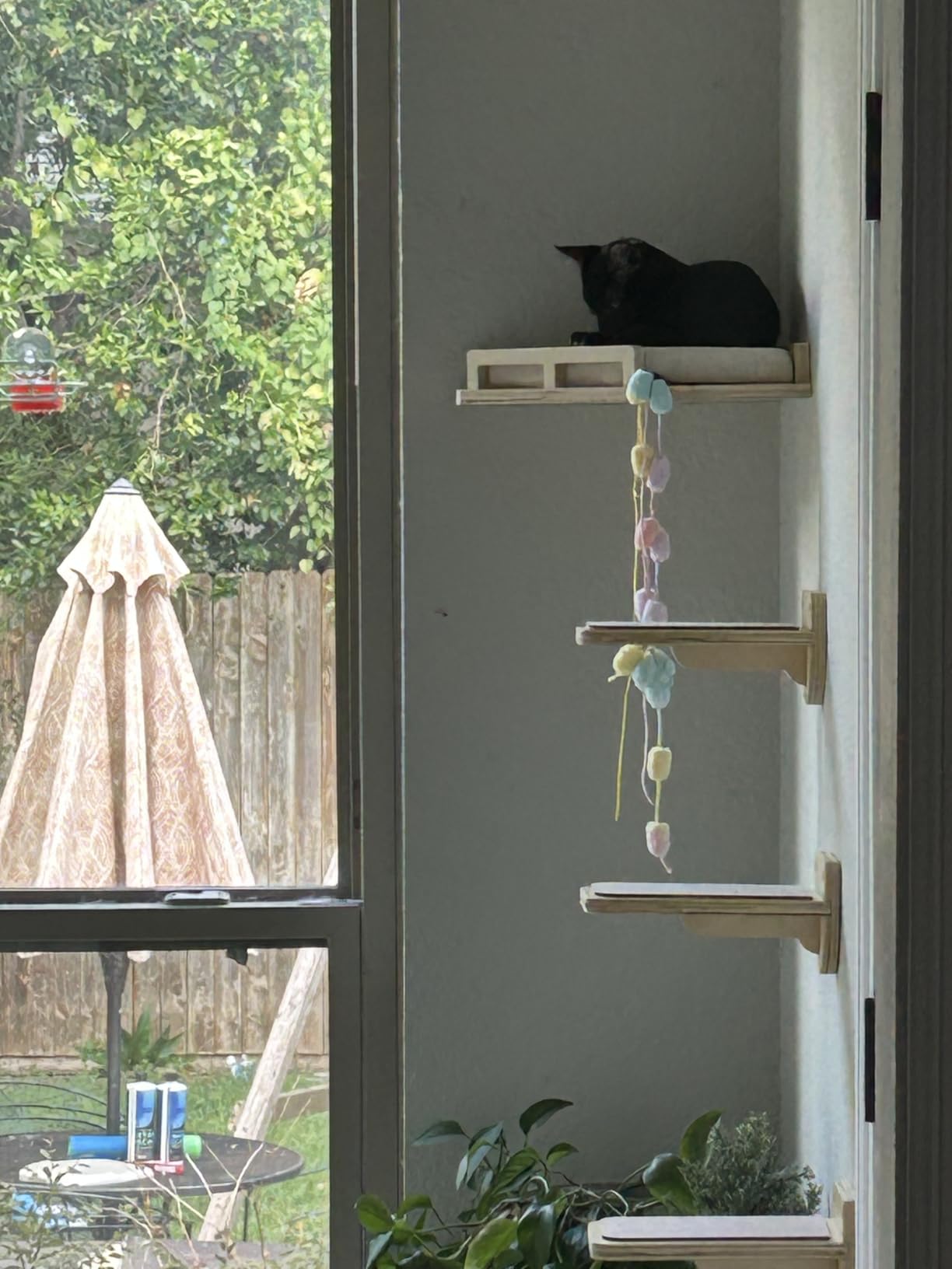 INICIO Cat Wall Shelves and Steps, 4-Piece Wooden Cat Wall Furniture Set customer photo 2