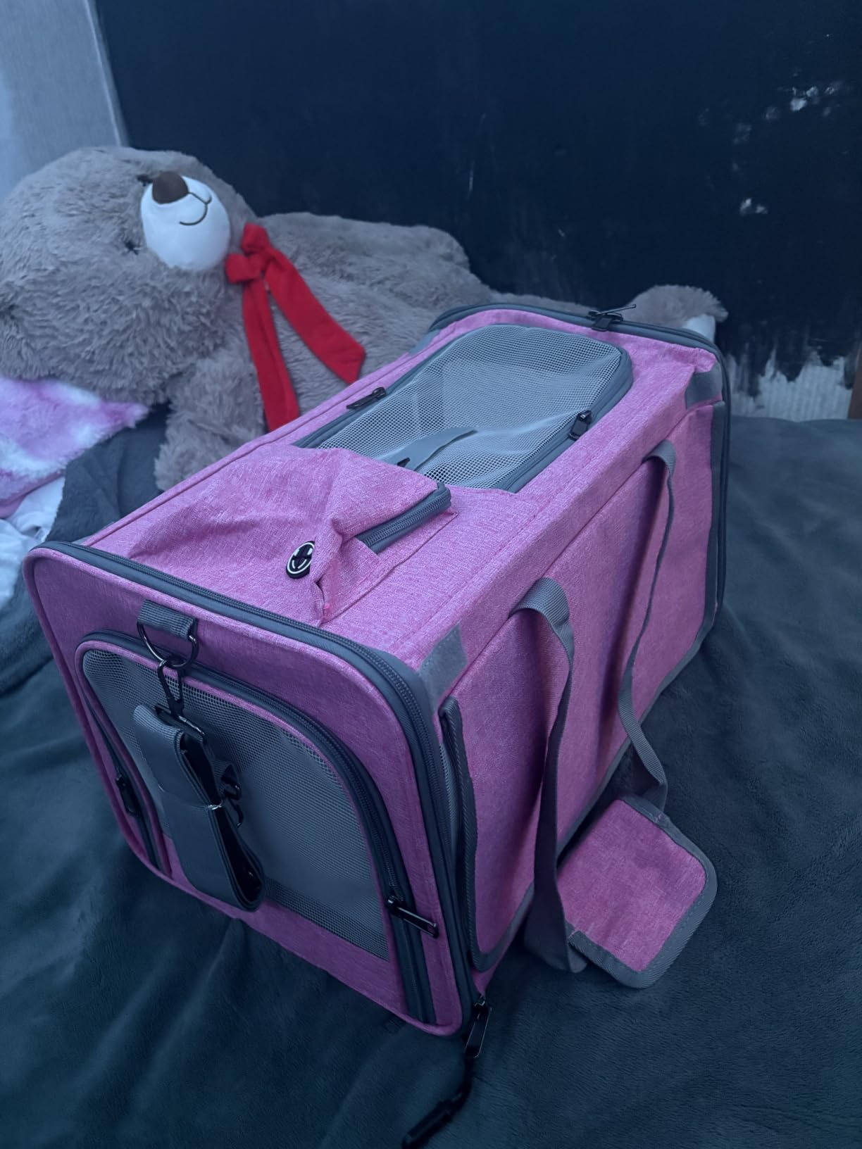 GAPZER Small Dog Carrier Yorkshire Puppy Softshell Chihuahua Transport Cage customer photo 1