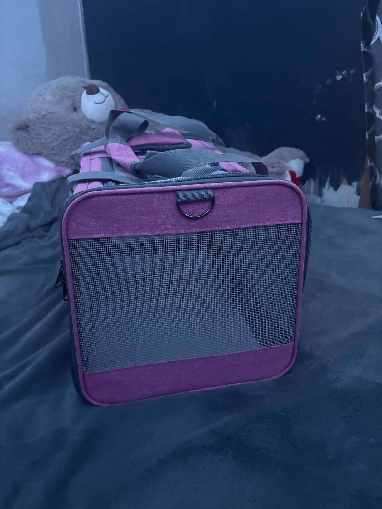 GAPZER Small Dog Carrier Yorkshire Puppy Softshell Chihuahua Transport Cage customer photo 2