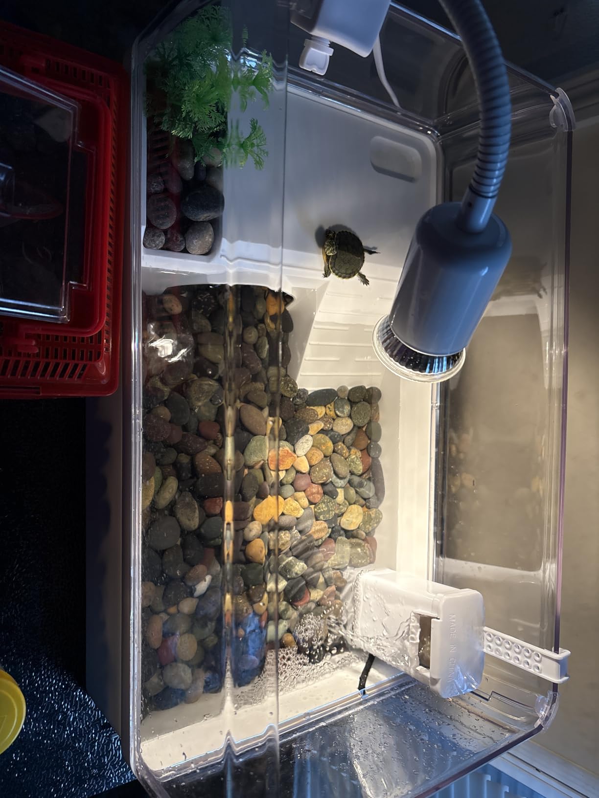 Turtle Tank Starter Kit for Baby Turtles,6.57 Gallon Small Green customer photo 1
