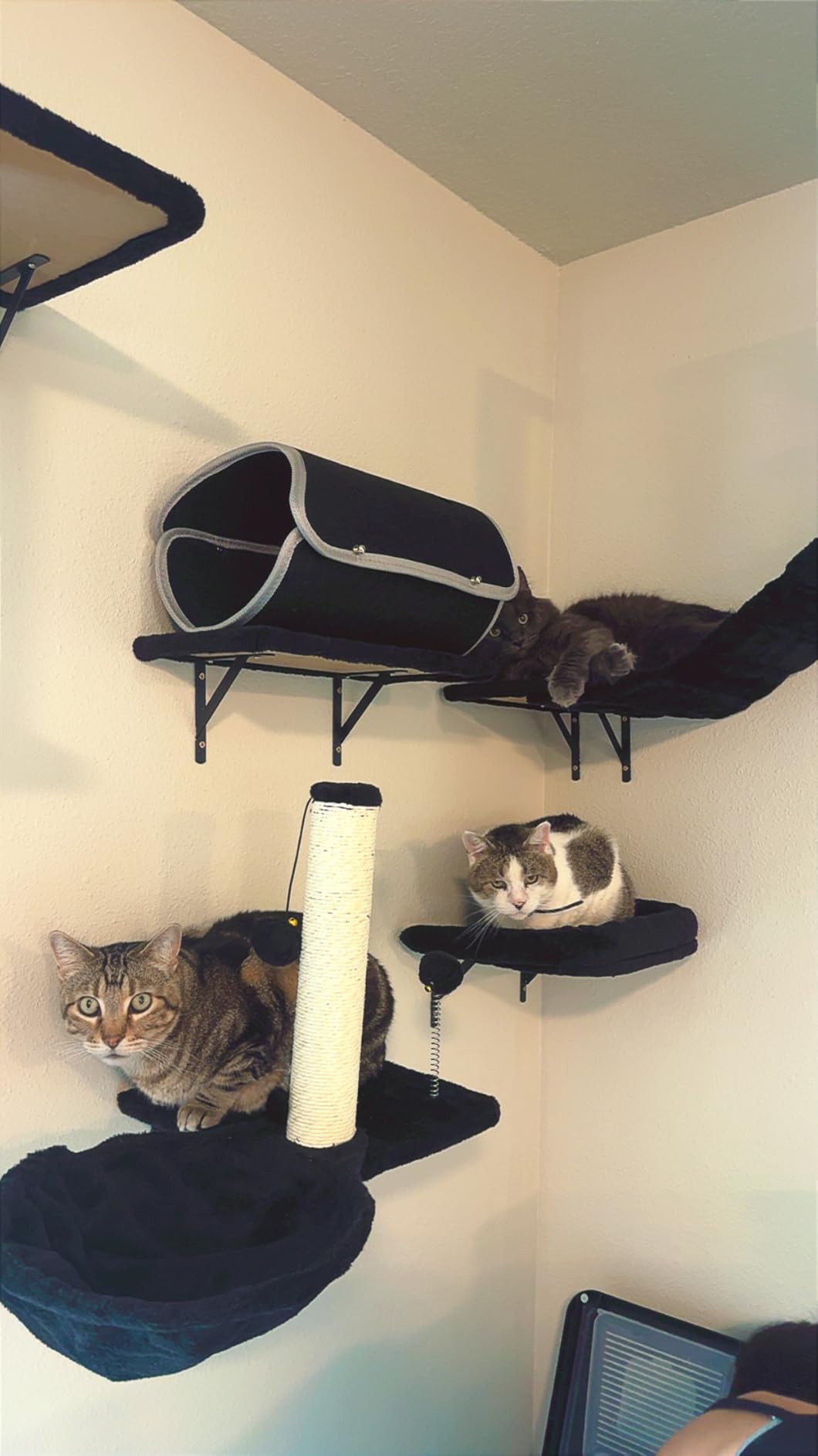 7-in-1 Cat Wall Shelves, Wall Mounted Climber Set customer photo 2