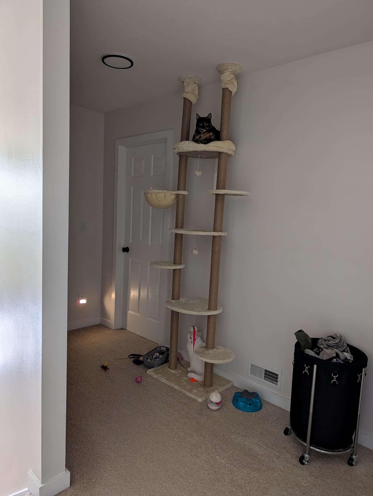 Cat Tree, Floor to Ceiling Cat Tower Adjustable Height[92-102 Inches=234-258cm], 7 Tiers Cat Climbing Tree with Hammock, Platforms and Fully Sisal Scratching Posts for Indoor Cats, Beige customer photo 2
