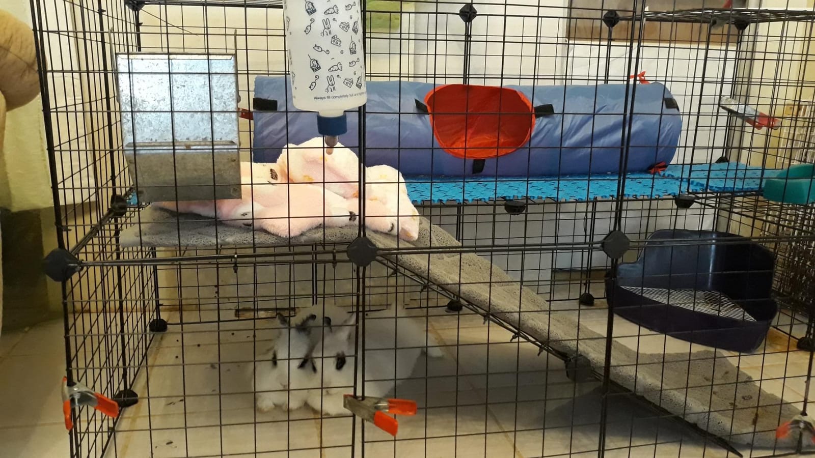 SONGMICS Pet Playpen, 2-Tier Small Animal Playpen customer photo 1