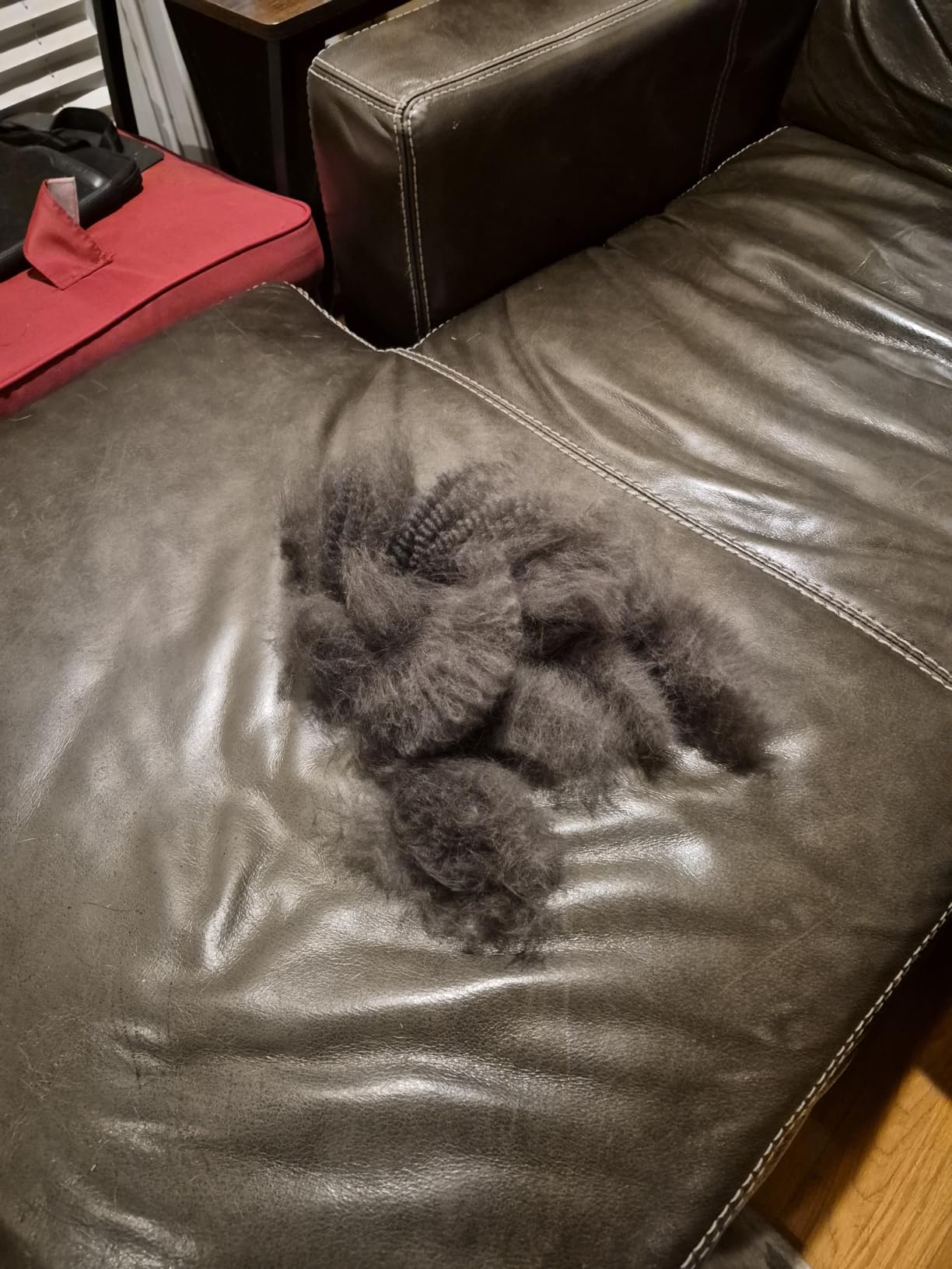 Dipoo Self Cleaning Shedding Brush - Skin Friendly Grooming Tool for Dogs, Cats, and Puppies, Deshedding and Hair Removal for Long and Short Haired Pets, Black customer photo 2