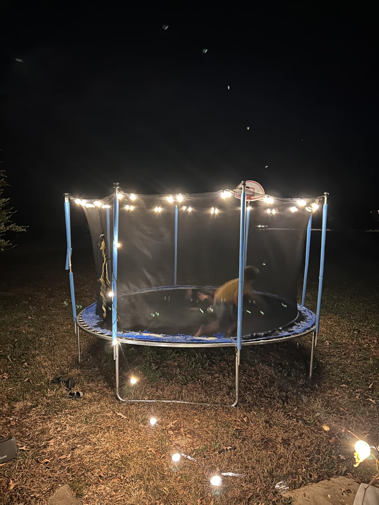 Lyromix 10 12 14 16FT Trampoline Outdoor, Light/Sprinkler/Basketball Hoop customer photo 1