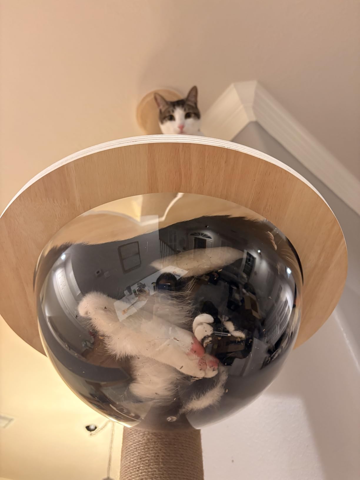 Veehoo Floor to Ceiling Cat Tree,102-122