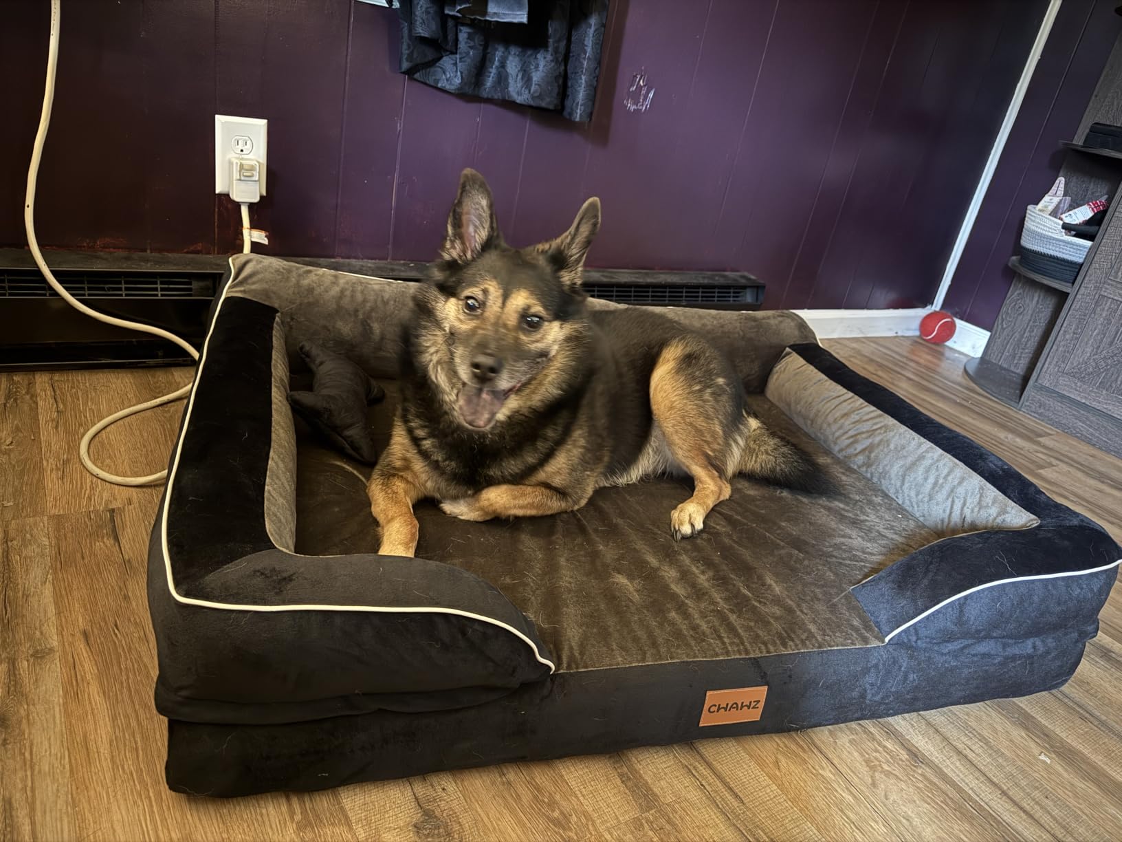 CWAWZ Extra Large Dog Bed, Orthopedic XL Dog Bed with Cooling Gel Memory Foam, Waterproof Pet Bed with Removable Washable Cover, 42