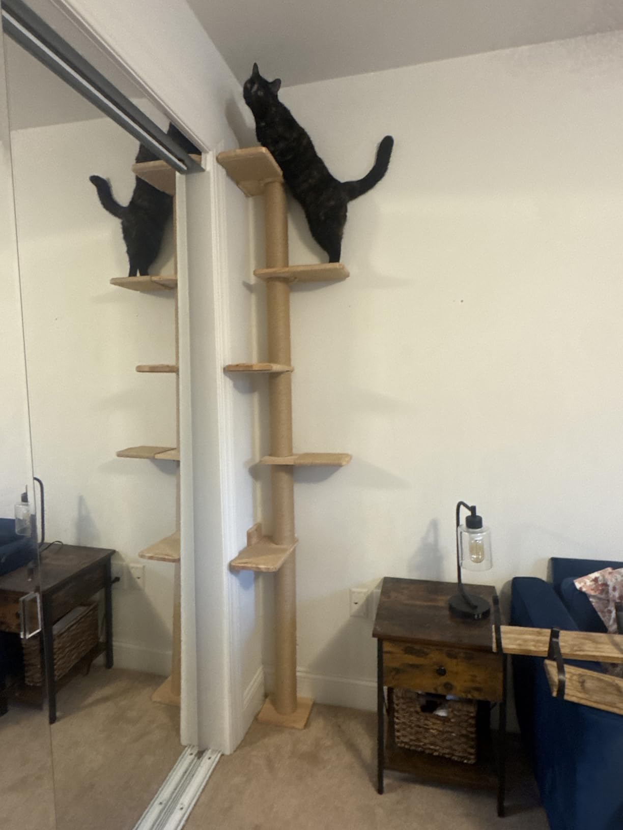 FUKUMARU Wall-Mounted Cat Tree for Small & Medium Cats customer photo 2