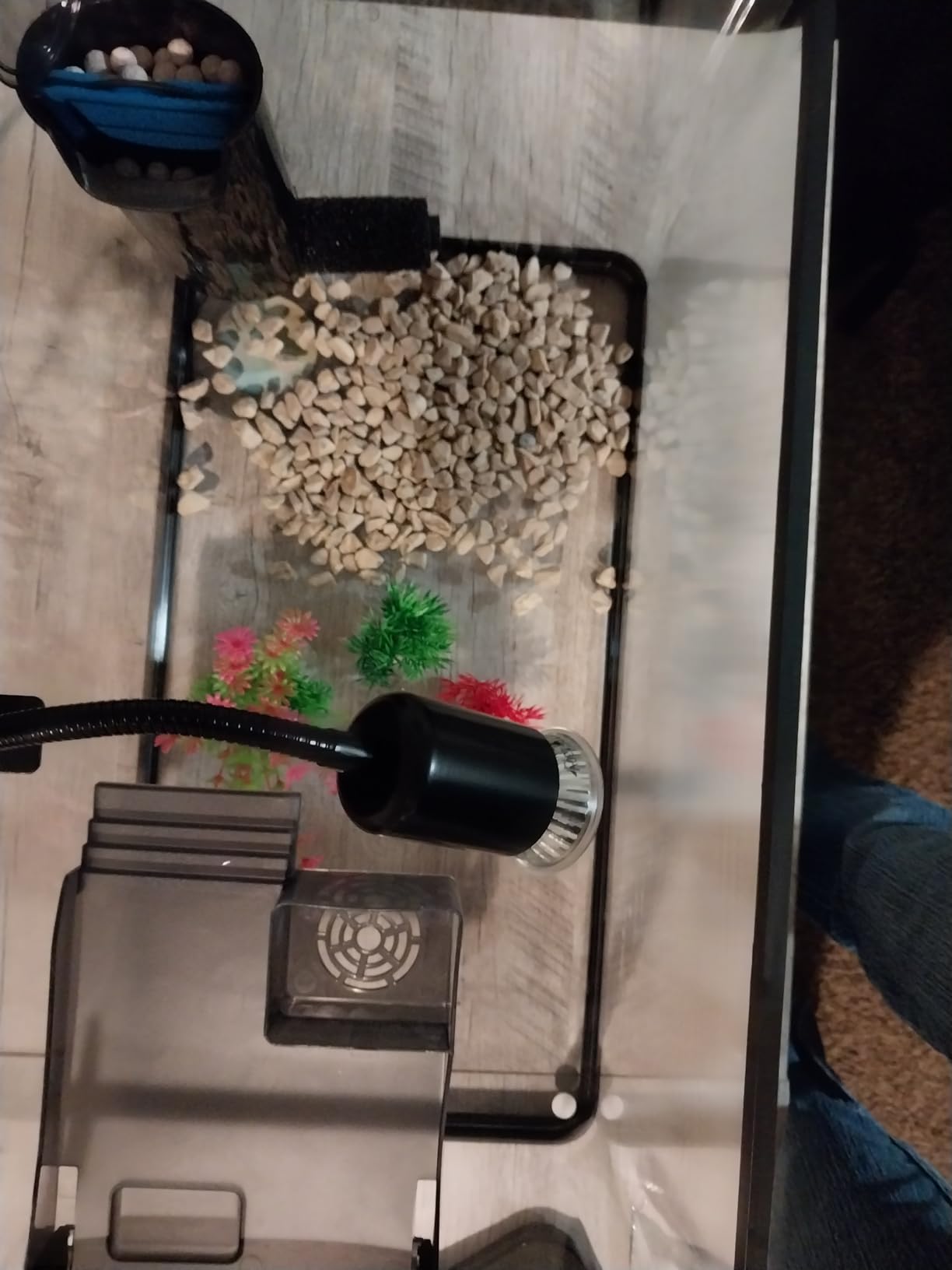 (Tank + Light + Filter + Filter Balls) Turtle Tank Kit, Turtle Tank Starter Kit,Bottom Drainage, Multi-Function Areas for Turtles, Crabs,Fishes, Amphibians,Reptiles. (21.65 × 12.28 × 12.28 Inch) customer photo 1