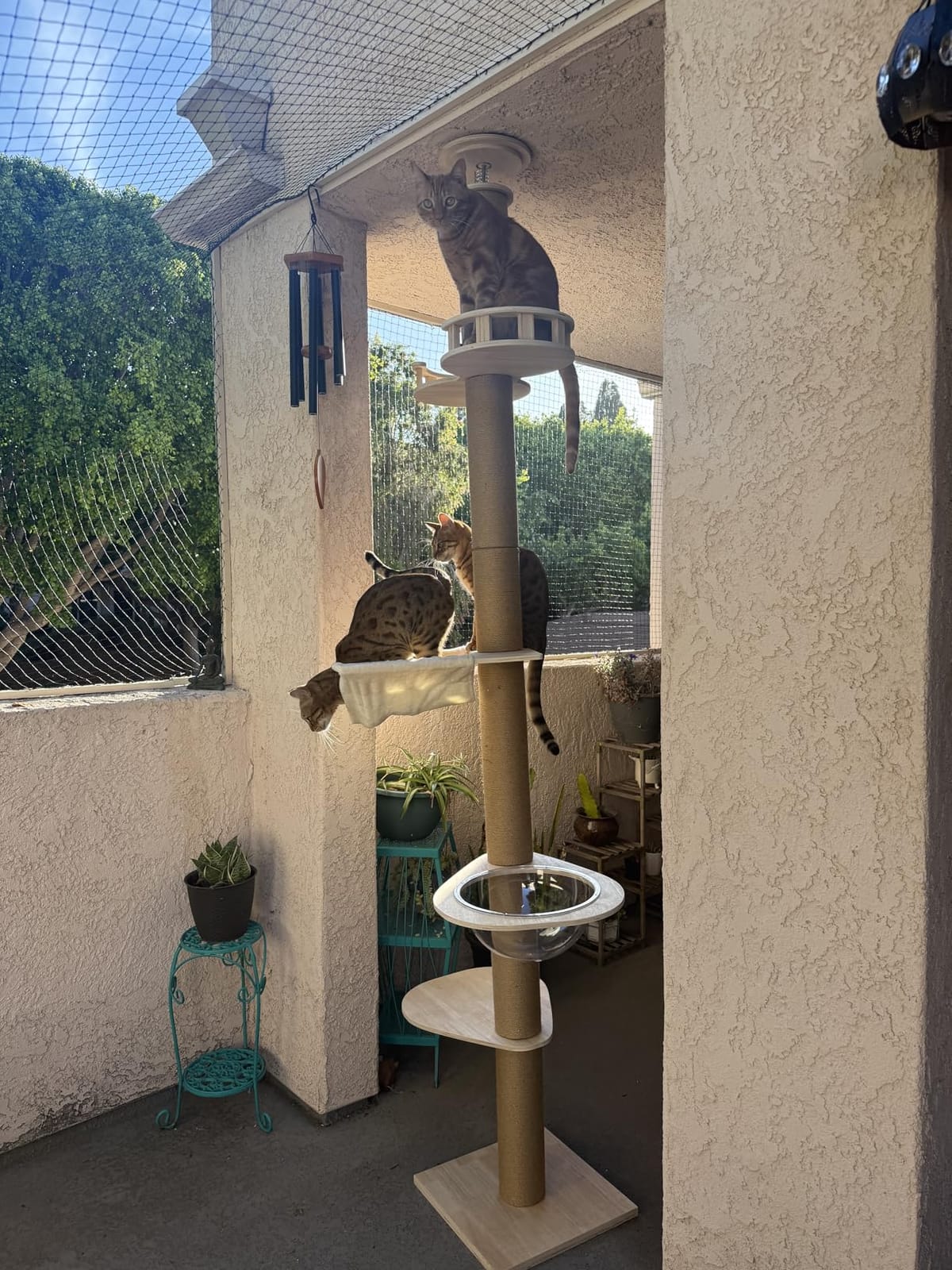 Floor to Ceiling cat Tree - Adjustable Height (95-98in,104.3-108.2in)- with Width 4.33 in Scratching Post,Cat Hammock,Fully Wrapped with sisal Rope - Heavy Duty cat Tree.(Holds 110 lbs) customer photo 1