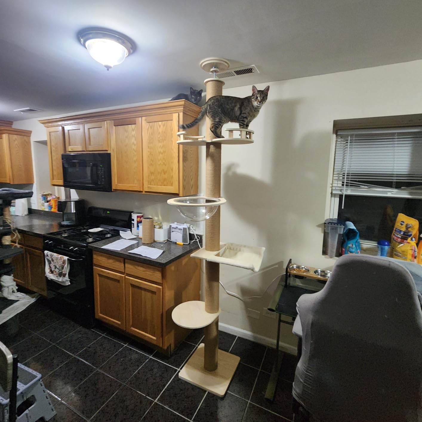 Floor to Ceiling cat Tree - Adjustable Height (95-98in,104.3-108.2in)- with Width 4.33 in Scratching Post,Cat Hammock,Fully Wrapped with sisal Rope - Heavy Duty cat Tree.(Holds 110 lbs) customer photo 2