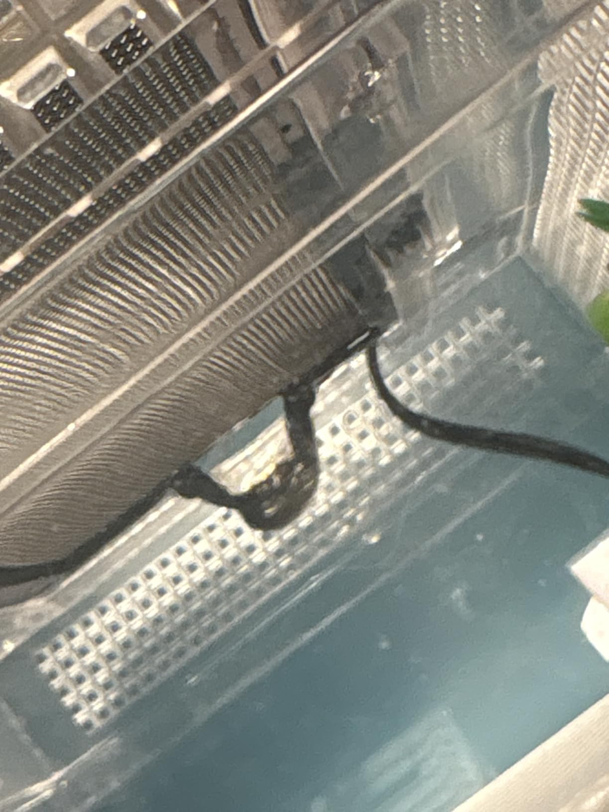 16x10x8 Inch Turtle Tank Kit with Heating Lamp & Filter customer photo 1