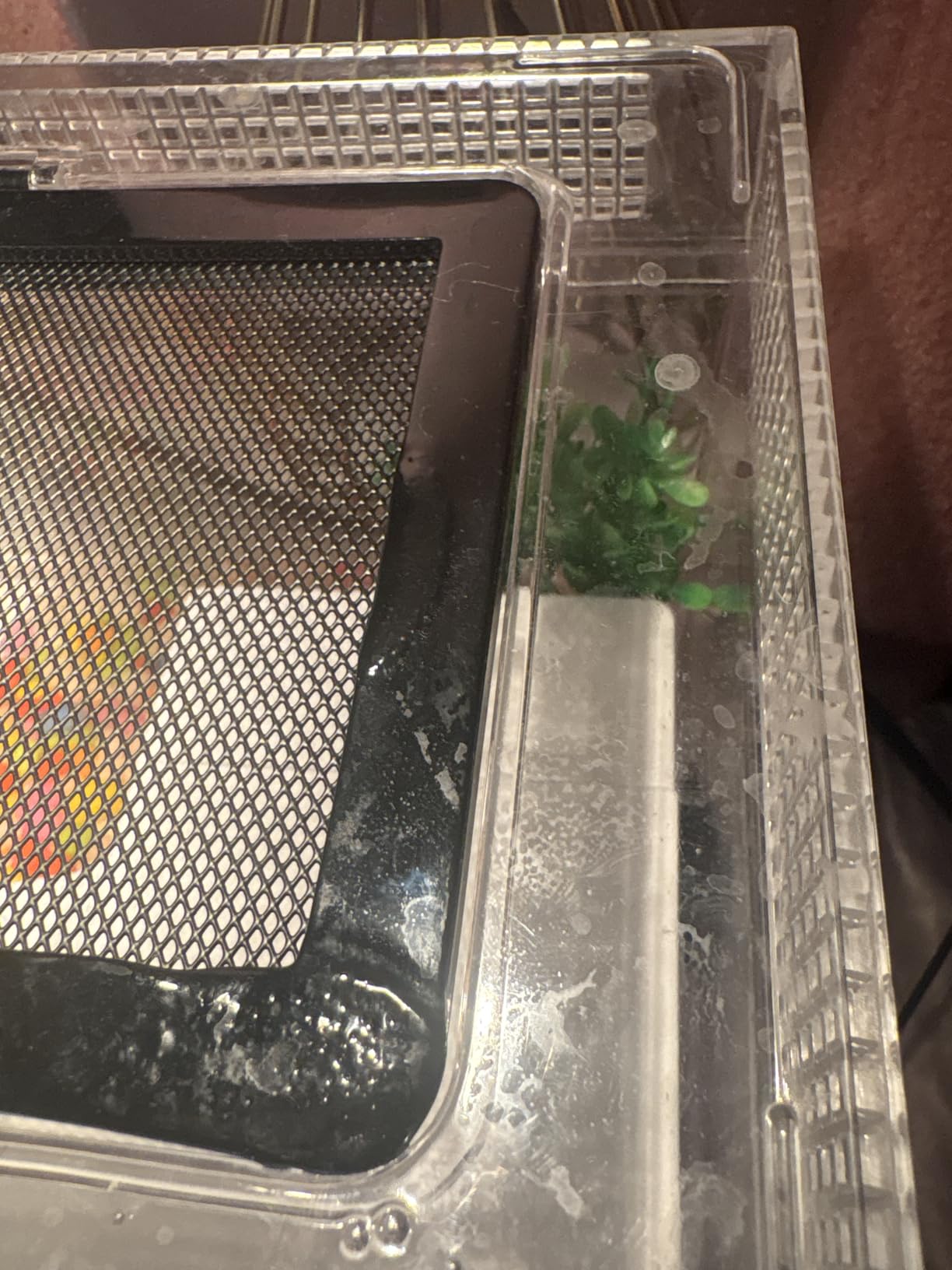16x10x8 Inch Turtle Tank Kit with Heating Lamp & Filter customer photo 2