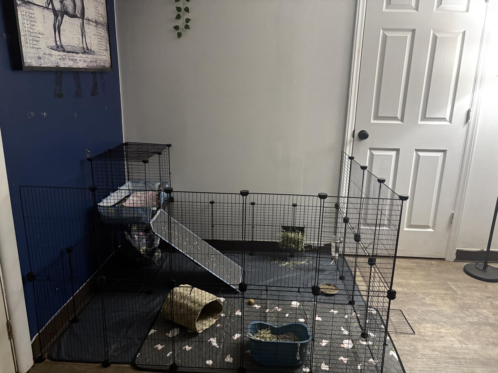 Guinea Pig Cages with Tarp and Bedding Pee Pad Liner, 2-Story Large Guinea Pig Playpen C&C Loft Cage for 2 Rabbit Bunny Chinchilla Small Animal Habitat for Indoor customer photo 1