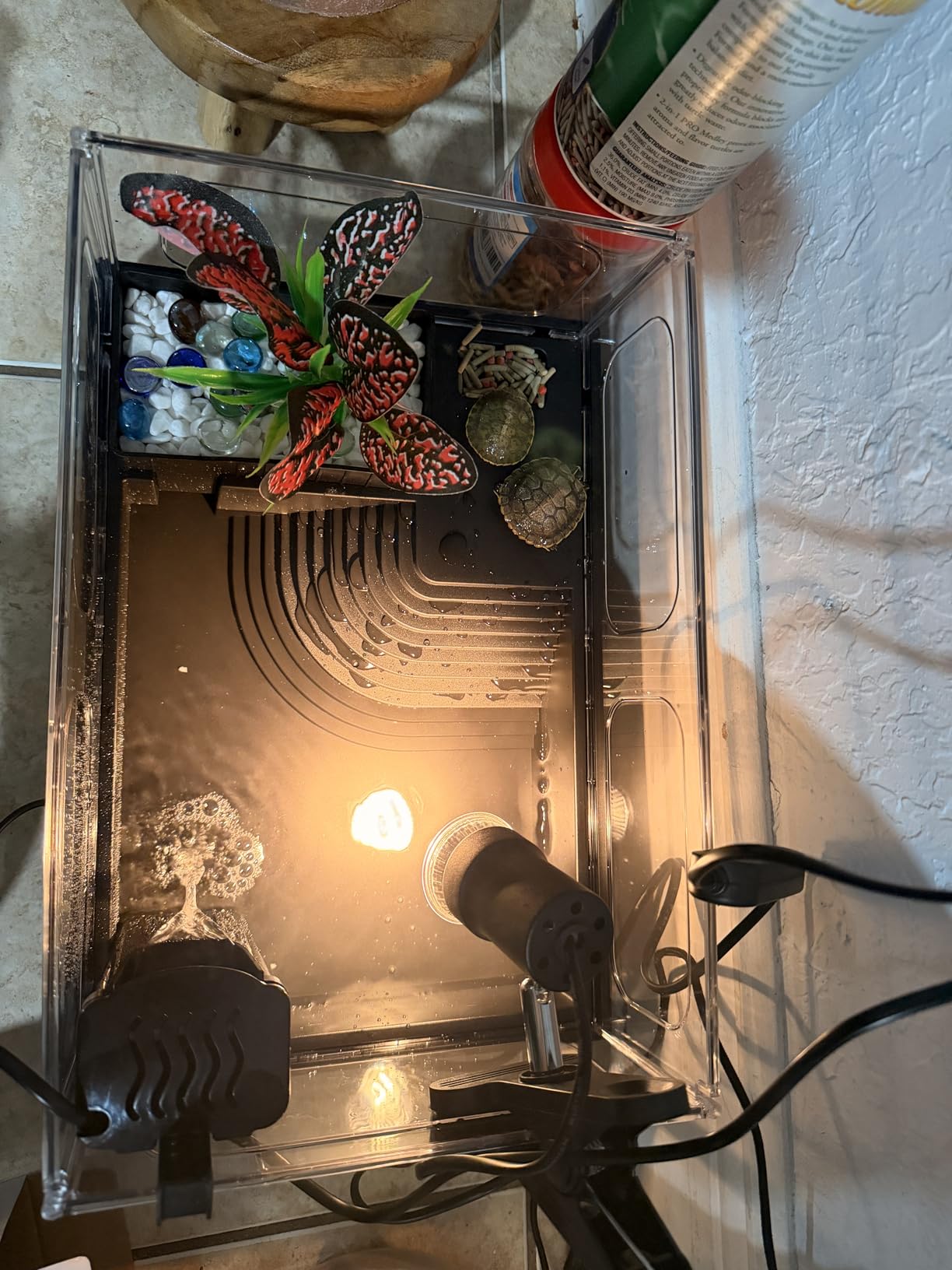 GOZILLA Small Turtle Tank Kit(Tank+Lamp+Filter), Acrylic Turtle Starter Kit with Adjustable Lamp, Reptile Habitat and Terrarium with Multi-Functional Areas for Small Reptiles. (Black Kit) customer photo 1