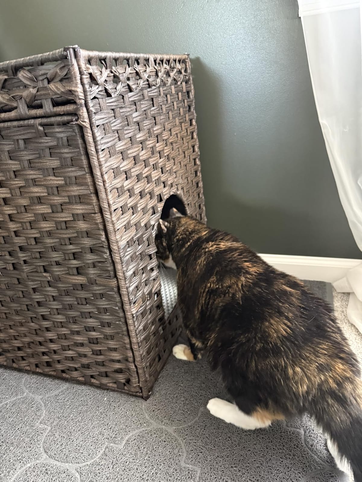 SETVSON Cat Litter Box Enclosure, Extra Large Hidden PE Rattan Natural customer photo 2