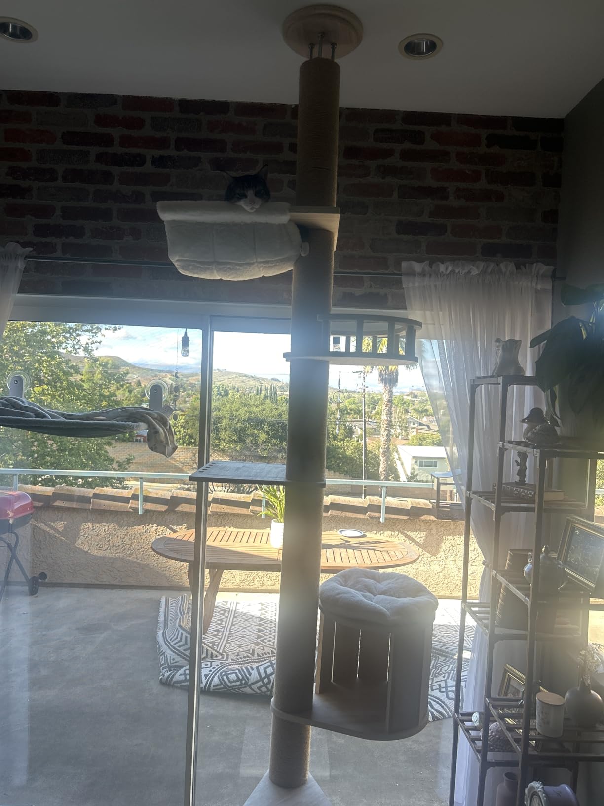 Aechonow 10.2ft Floor to Ceiling Cat Tree for Large Cats, Tall Cat Tower customer photo 1