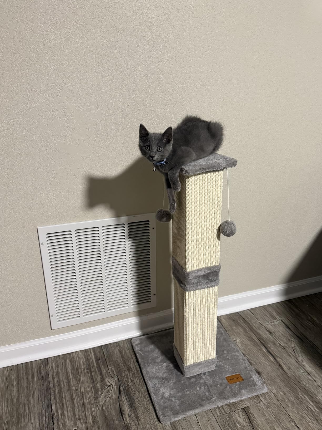 Cat Scratching Post 33 Inch for Indoor Cats, Tall Cat Scratcher with 100% Natural Sisal, Large Stable Base & 5 Inch Wide Post, Cat Scratch Post for Large Cats, Full-Body Stretching, Grey customer photo 1