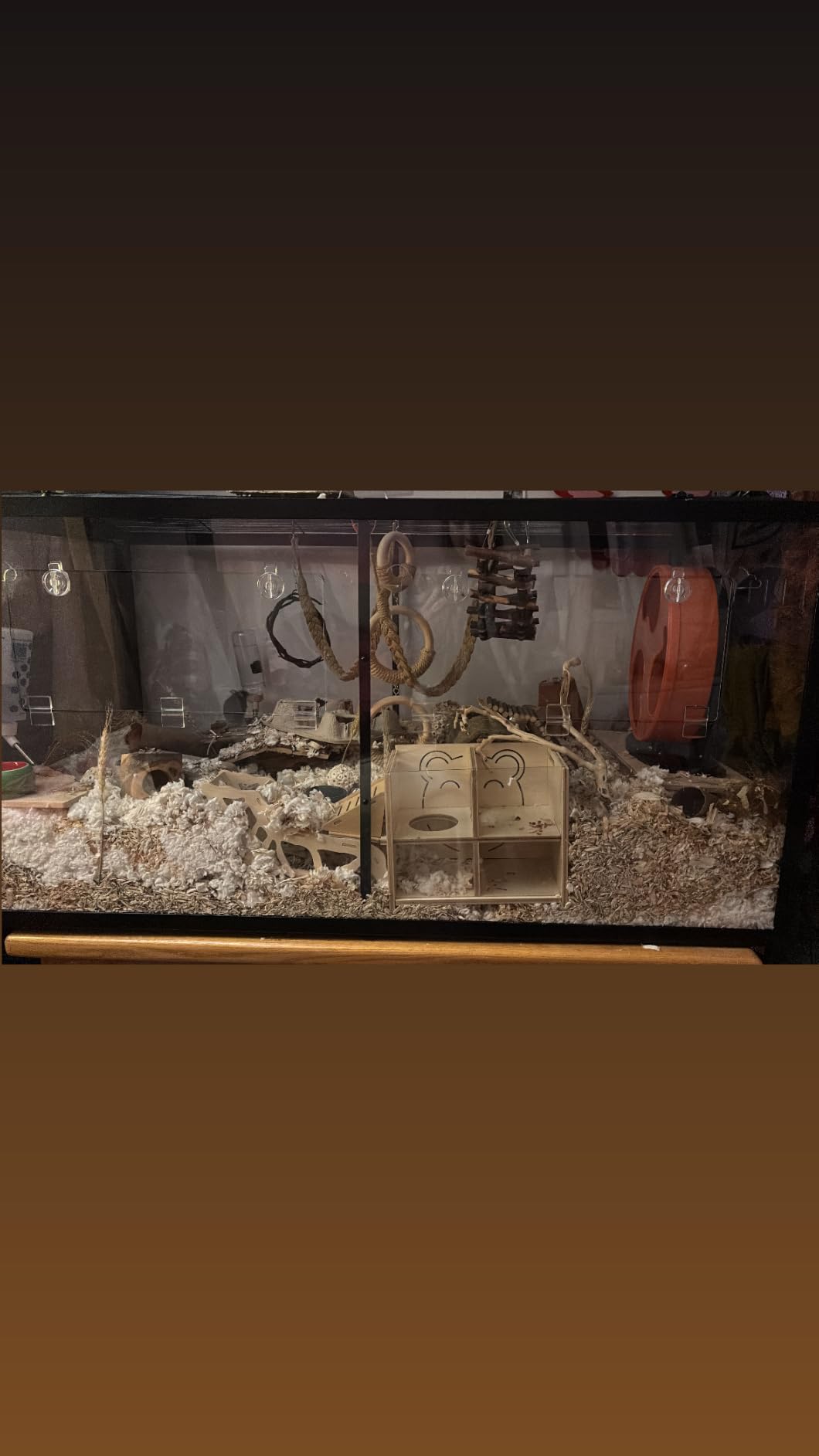 VEVOR Hamster Cage, 360°Viewing Transparent Hamster Habitats, Small Animal Cage, 29.5 x 17.3 x 24 in, Ventilated Pet Mouse Cages with Water Bottle, Portable Hamster House for Rats, Guinea Pigs customer photo 1