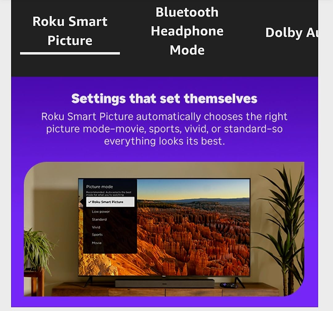 Roku Smart TV – 43-Inch Select Series, 4K HDR TV – RokuTV with Enhanced Voice Remote – Flat Screen LED Television with Wi-Fi for Streaming Live Local News, Sports, Family Entertainment customer photo 2