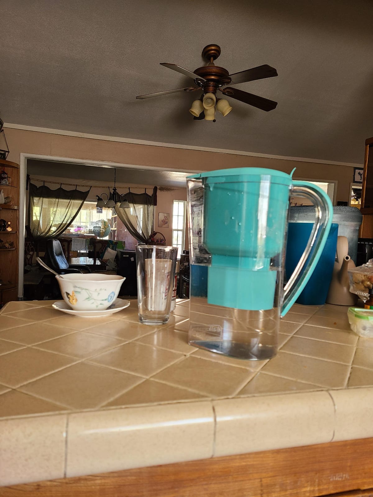 Alkanatur Water Filter Pitcher, Removes Fluoride/PFAs, Adds Magnesium customer photo 1