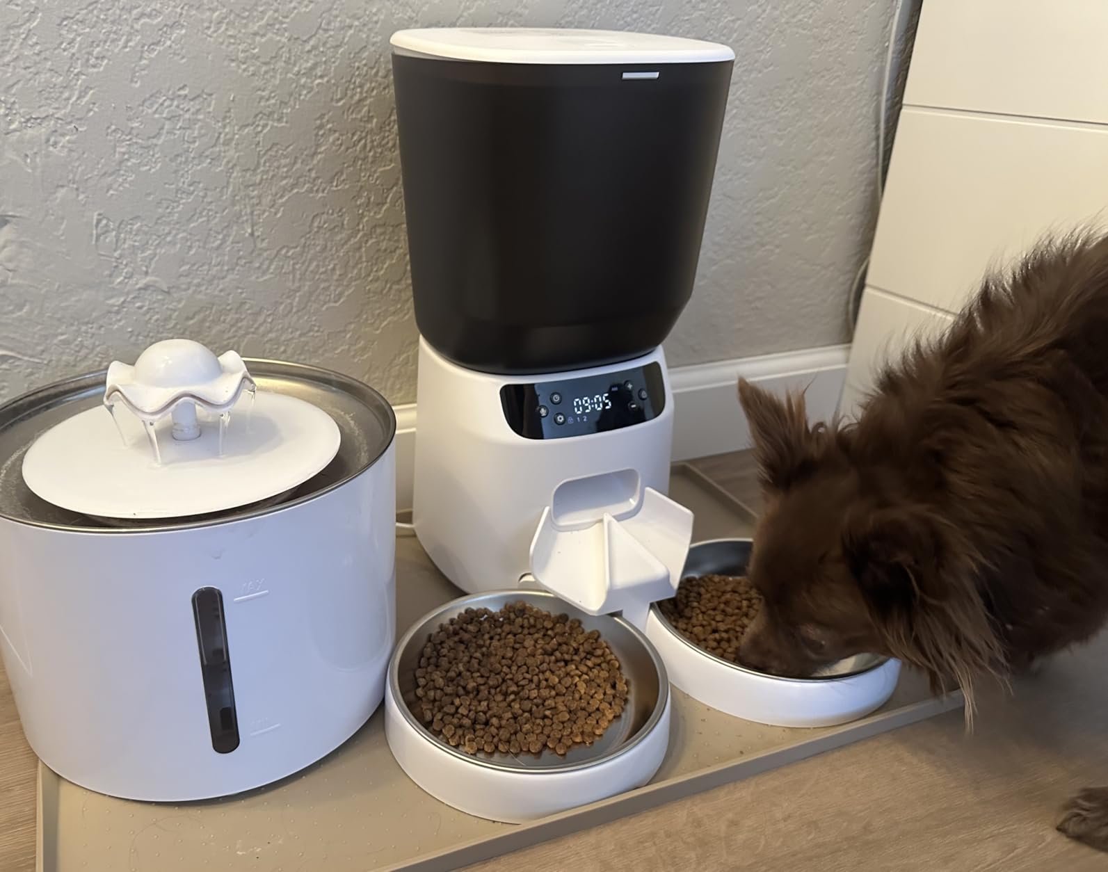 Automatic Cat Feeders for Two Cats, 5L/20 Cups Double Automatic Cat Food Dispenser with 2 Stainless Bowls, Timer Setting 20 Portions 6 Meals Per Day, 10s Meal Call (Black) customer photo 2