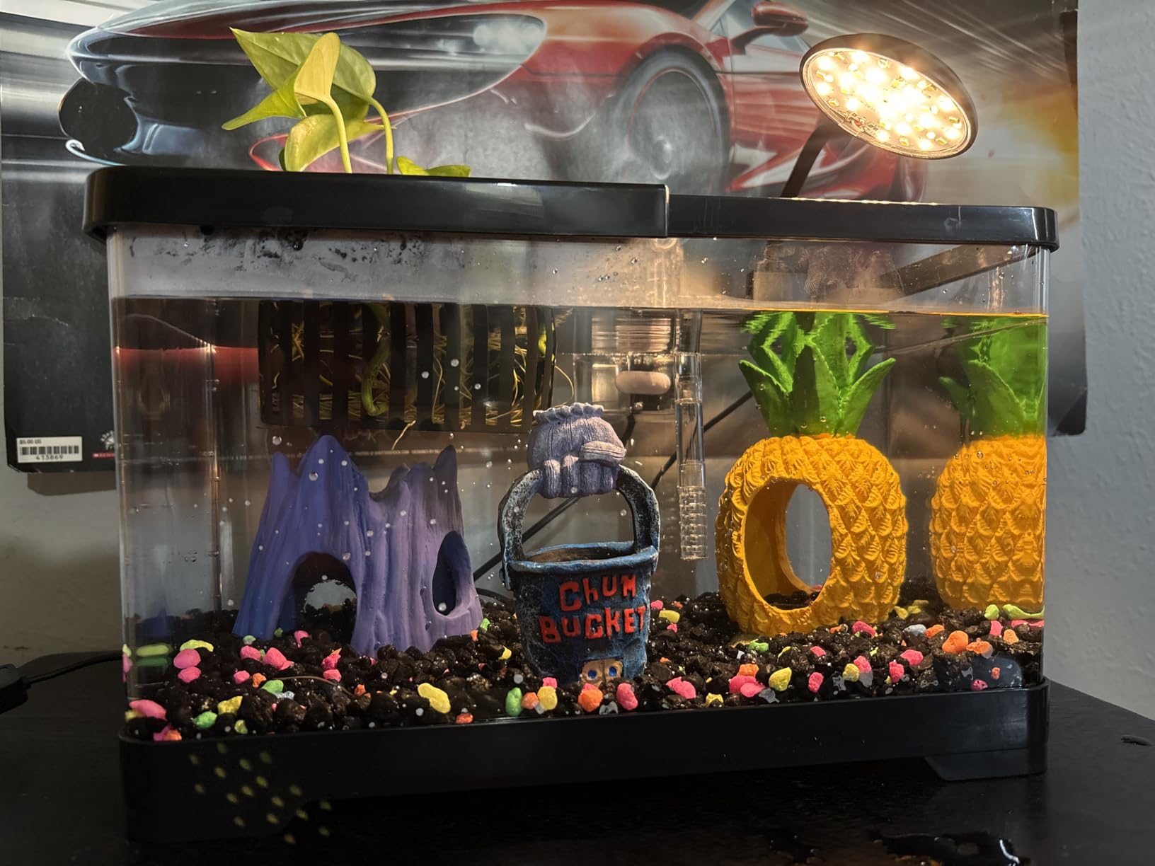 1.5 Gallon Aquarium Starter Kits - Plastic Fish Tank Kit Clear Beta Fish Tank Small with Filteration Oxygenation, Water Circulation, Lighting - Beginner's Gift for Guppy, Shrimp, Goldfish customer photo 2