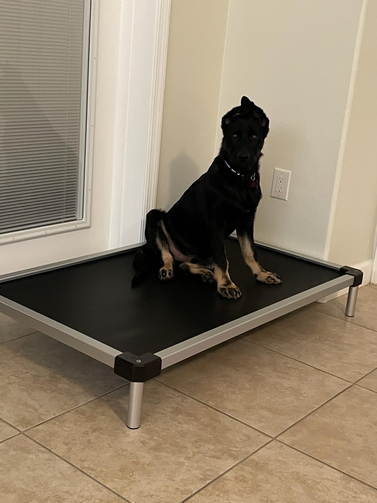 FXW TitanNest Cooling Chew-Proof Elevated Dog Bed for Large Dogs customer photo 2