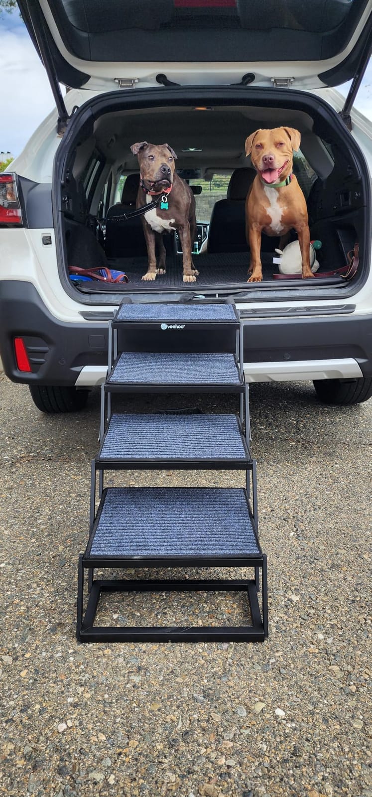 Veehoo Foldable Dog Steps for Car SUV, Collapsible Large Dogs Stairs 17