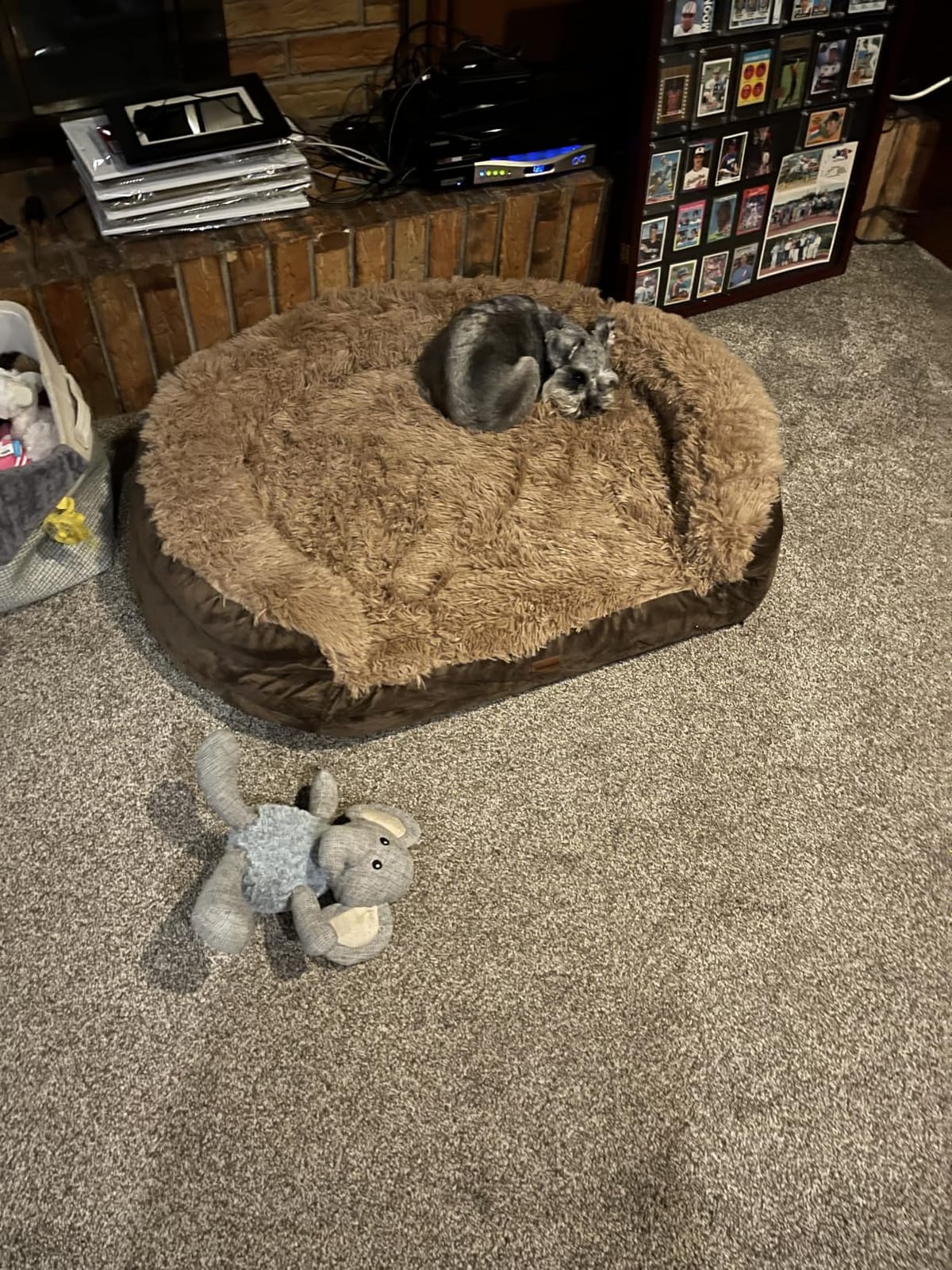 iweepet Fluffy Orthopedic Dog Beds for Large & Extra Large Dogs, 44
